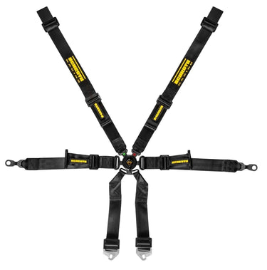 Schroth Flexi 2x2 Porsche GT2-GT3-GT4 6 Point Racing Harness